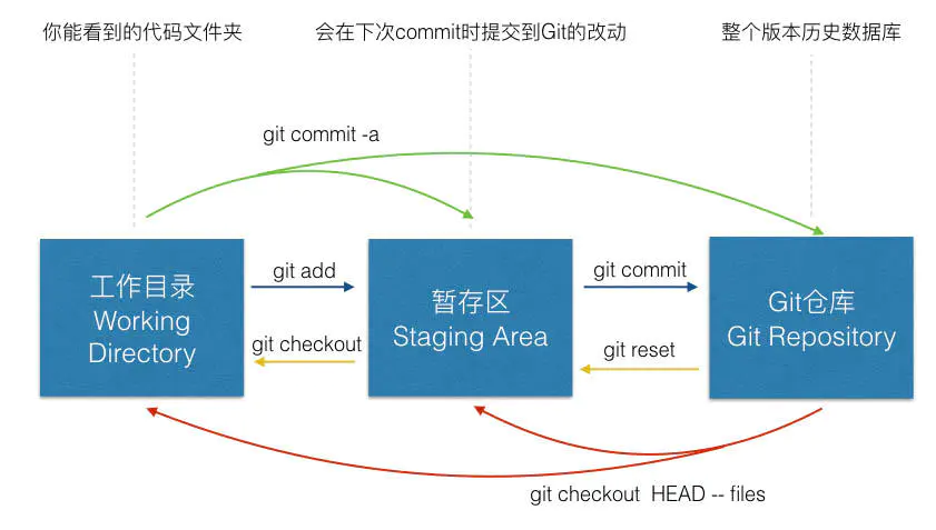 The Structure of Git